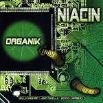 Niacin ナイアシン Organik
