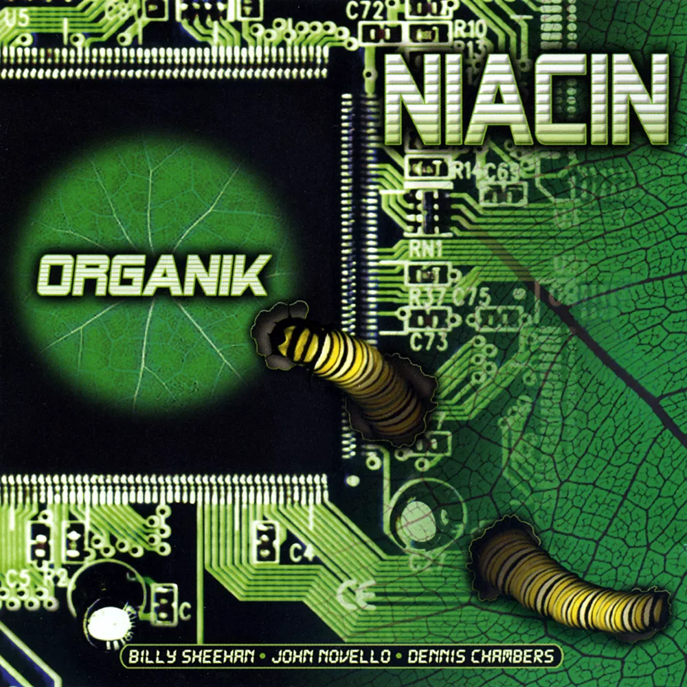 Niacin ナイアシン Organik