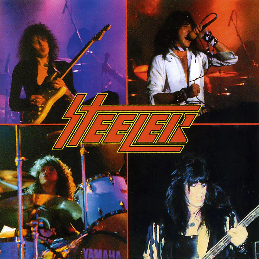 Steeler スティーラー