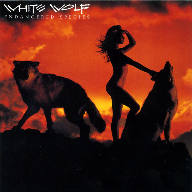 White Wolf ホワイト・ウルフ Endangered Species